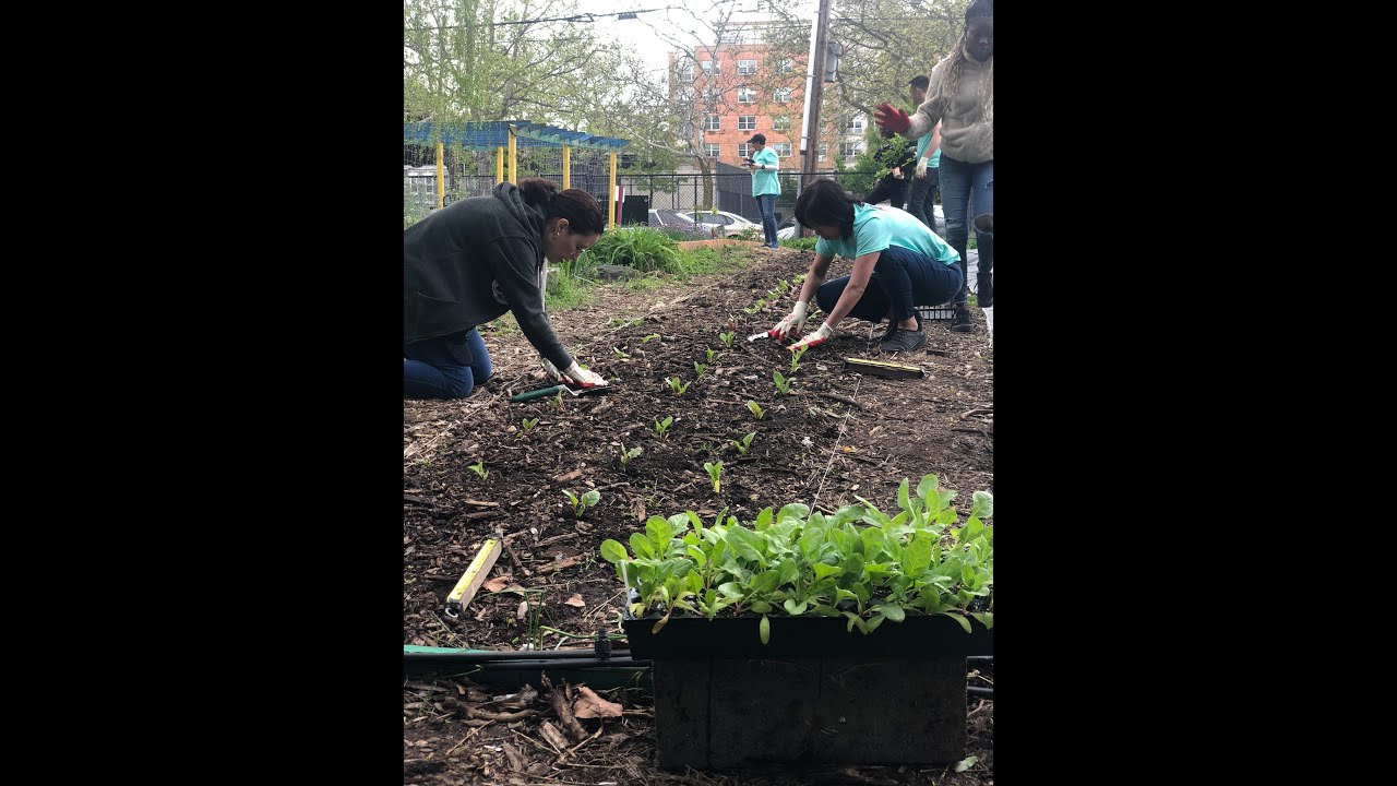 ENYF Compost Project