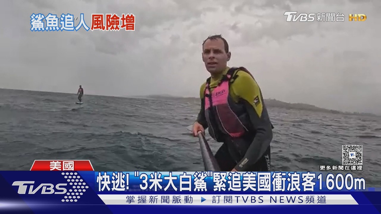 影音/快逃! 衝浪客遇大白鯊緊追1600m 專家:暖化改變鯊魚習性