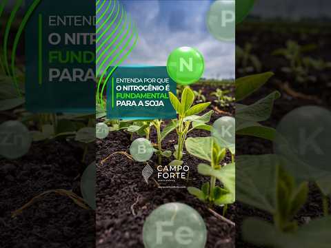 Reels Campo Forte 05