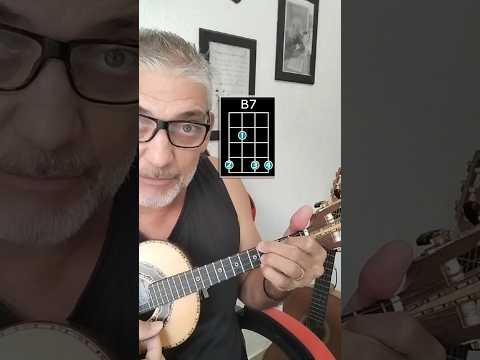 Entre Pétalas De Flores - Denner Zacarias