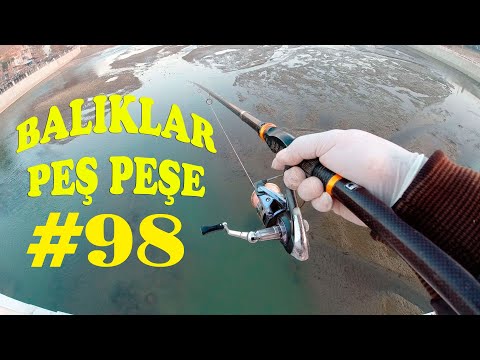 Peş Peşe BALIK AVI.Dip Oltası ile.KEFAL AVI.KASNA AVI.Catch Fish.Chub with hook.river fishing #98
