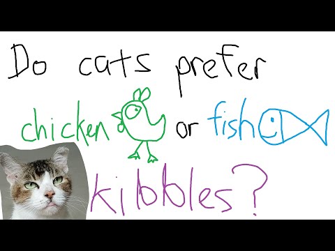 Do cats prefer chicken or fish kibbles?