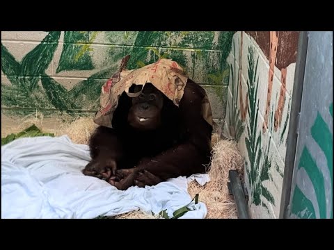 Blending in with the Homeless