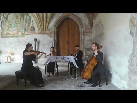 Ave Maria - G. Caccini / V. Vavilov [String Quartet]