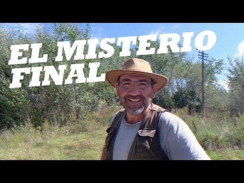 "Lo que apareció en el cielo de Arroyo del Medio: ¿Estamos solos?"