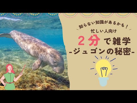 Gephyromantis rivicolaについて詳しく解説