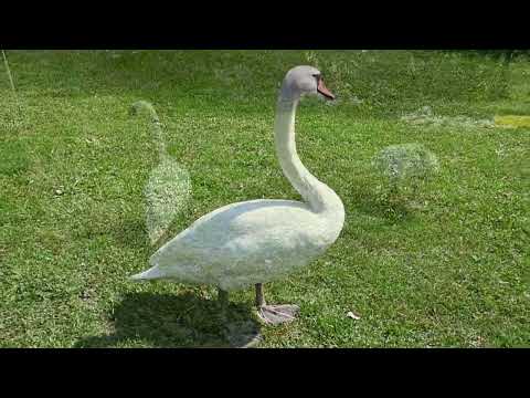 Nachrichten aus Geislingen/Göppingen/Ulm