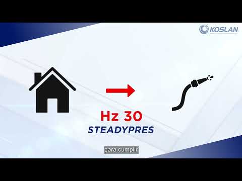 Steadypress Pedrollo