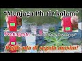 Bahan Penetralisir Derajat Keasamaan Air Untuk Kolam Ikan Hias