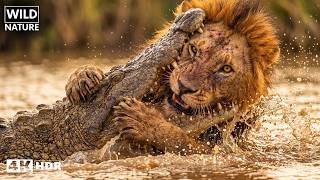 SABANA BRUTAL — Animales Que Se Niegan a Morir | EPISODIO COMPLETO | Documental Animal