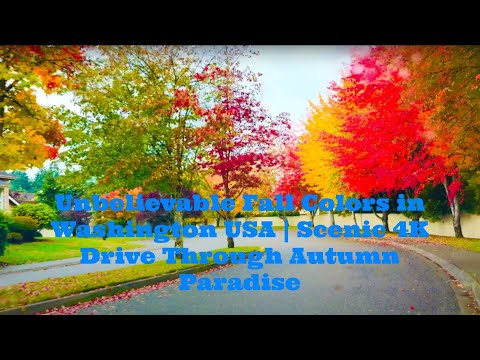 Beautiful Fall Foliage Drive Through Washington USA | Relaxing Scenic Road Trip 4K