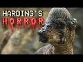 youtube thumb