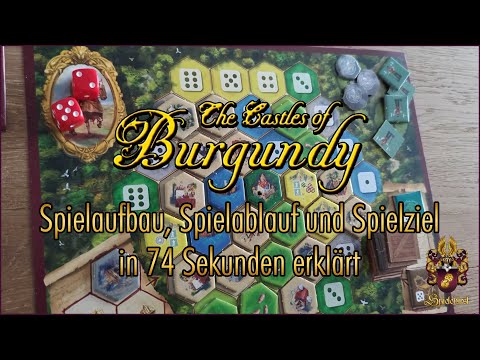 The Castles of Burgundy in 74 Sekunden | Spielaufbau, Spielablauf und Spielziel erklärt