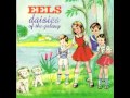 Eels - The Sound Of Fear