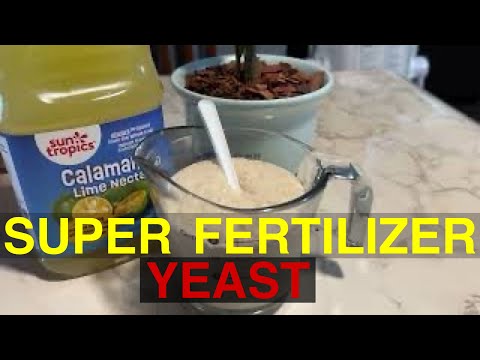 MAGIC SUPER Fertilizer for Cucumber, Strawberries, 100% SUCCESS & ORGANIC BOOSTS Growth & Harvest!!