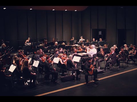 Vivaldi - Concerto for Lute in D Major RV 93, 1st Movement (Classical Guitar and Orchestra)