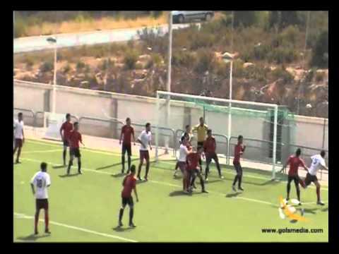 Resumen Ribarroja Alzira