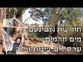 נשלח על ידי מינהלת-האתר בתאריך Thu Apr 25 2024 ב- 09:06am