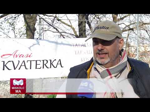Videó előnézet