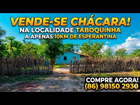 OPORTUNIDADE MARAVILHOSA CHÁCARA NA TABOQUINHA ZONA RURAL DE ESPERANTINA PIAUÍ