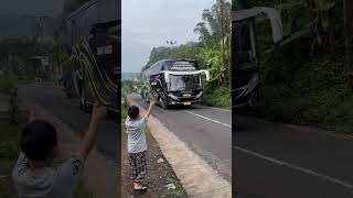 Download lagu BASURI BUS KIMBERLEE BAIK RASA #teloletbasuri #busmania mp3 Download lagu BASURI BUS KIMBERLEE BAIK RASA #teloletbasuri #busmania mp3