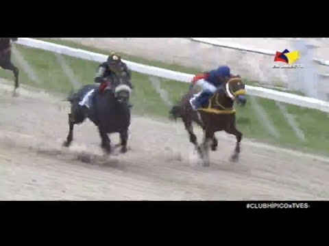 Clásico Jockey Club de Venezuela 2021 | El de Froix | Hipódromo La Rinconada | Reunión 35