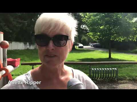 Hanau und seine Viertel - Steinheim