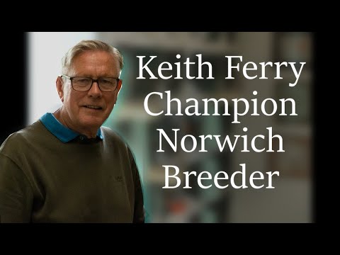 Champion Norwich Canary breeder 2023
