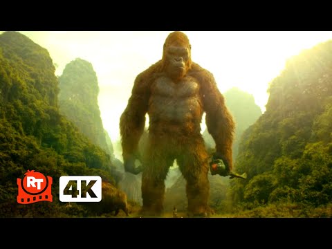 Kong: Skull Island (2017) 4K - Kong Saves a Giant Buffalo Scene | Movieclips
