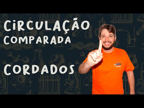 CIRCULAÇÃO COMPARADA