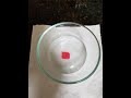 Simple Science Experiment Floating Shapes