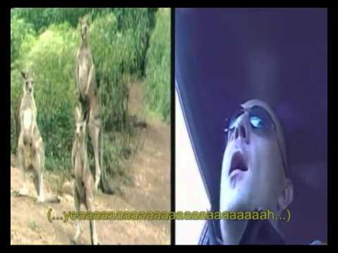 Goran Petrovic-Svela -imitacija Miroslav Ilic -2002 god