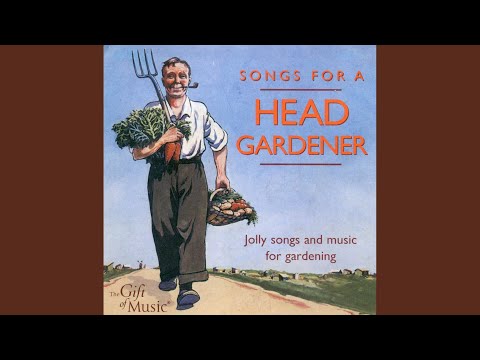 A Little White Gardenia