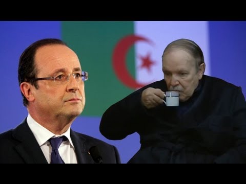 زيتوت | فرنسا تختار بوتفليقة ومخاطر انقسام الجيش
