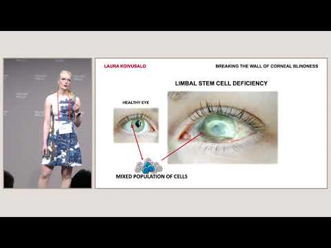 Falling Walls Lab 2019 – Laura Koivusalo: Breaking the Wall of Corneal Blindness