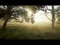 Becoming I Judah Earl Music Cinematic Rest