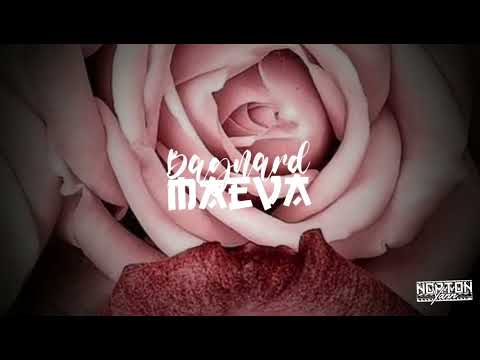 DOCTEUR STEEVE X KASSPA 2023