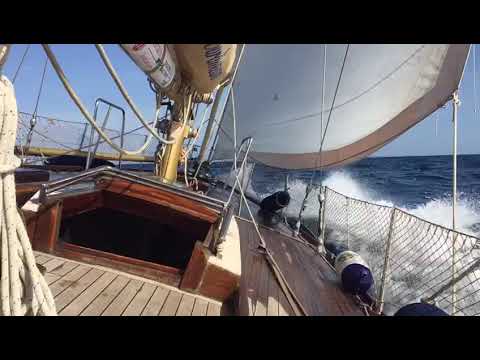 Dulcinea a cavallo del vento