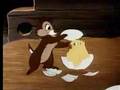 Chip 'N' Dale - Chicken In The Rough 