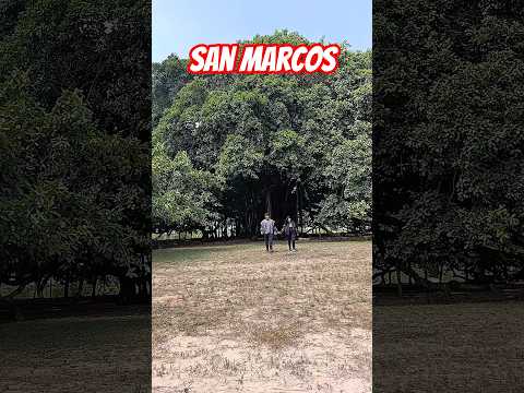 San Marcos en moto #motovlog #sincelejo #sanmarcos #sucrecolombia