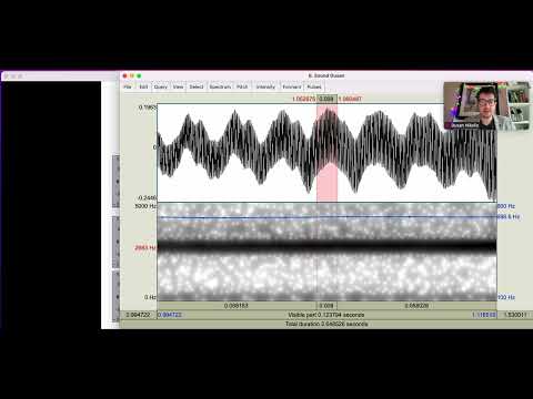 Linguistics 341 - Introduction to Phonetics - Intensity