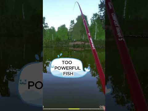 Fishing rod is broken, again, Russian Fishing 4