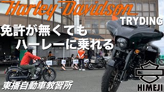 【免許が無くてもハーレーに乗れる】ハーレーダビッドソントライディング