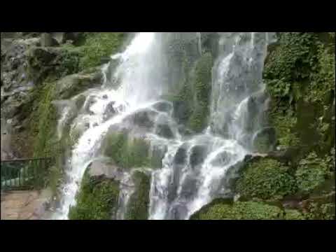 Travel here with Your Amigos! Download #YaAmigo Now