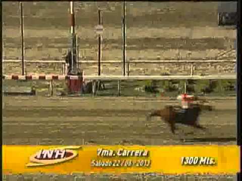 Resumen Sábado, 22 de Junio de 2013 - La Rinconada