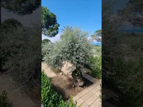 Hotel Costa Verde, Cefalu, Sicilia