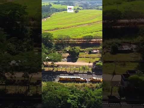 CÂNDIDO RODRIGUES-SP #shorts