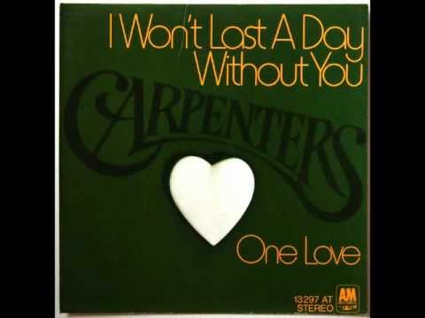 I Won't Last A Day Without You