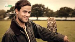 Yeo Valley Advert 2011 - X Factor - Boy Band:  The Churned - Forever (With Lyrics)