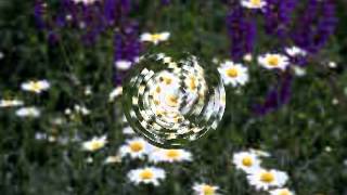 Website Traffic - 3 Secrets On Website Traffic Report.mp4